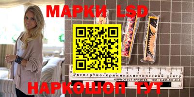 СК Заводоуковск